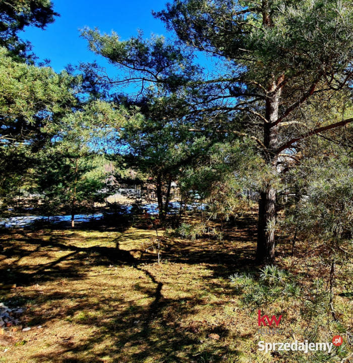 sprzedaży działki Ryjewo 2000m2 pomorskie sprzedam