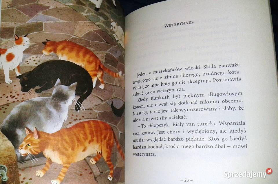 Kot który zgubił dom Ewa Nowak Rok wydania 2016 Chełm