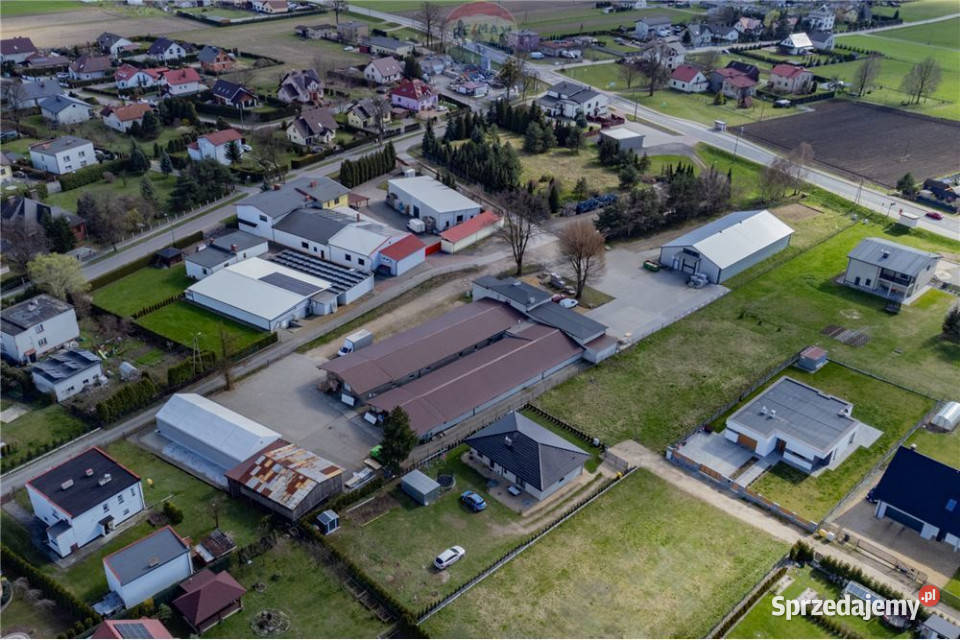 Hale produkcyjnomagazynowe i budynek biurowy śląskie Rudziczka