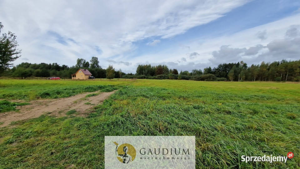 działki w Drewnicy Drewnica sprzedam