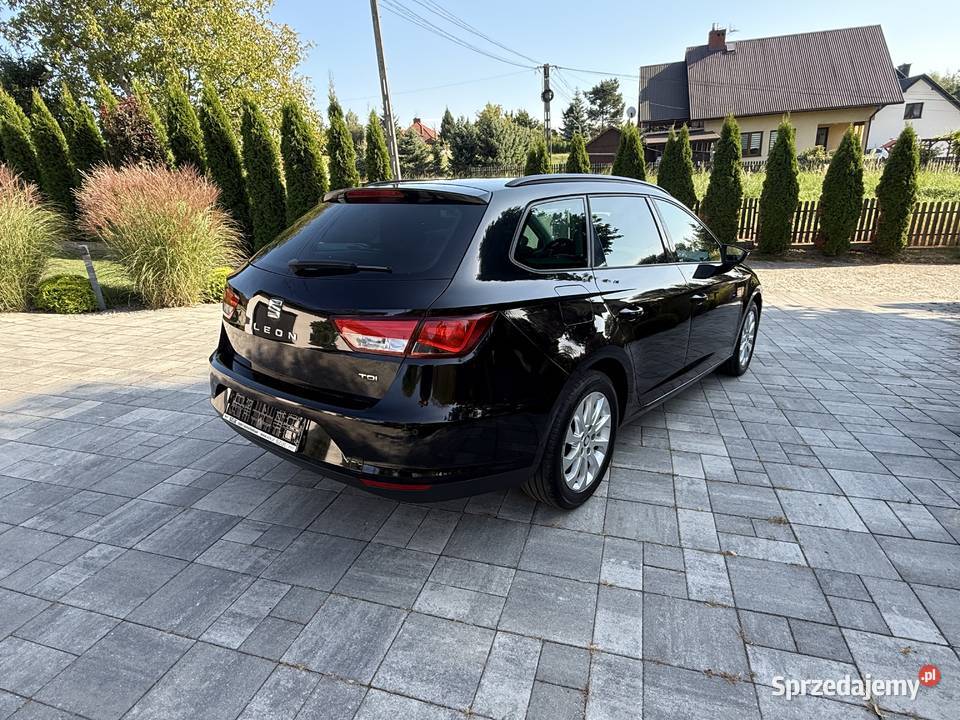 Seat Leon 20 Diesel diesel Rzeszów