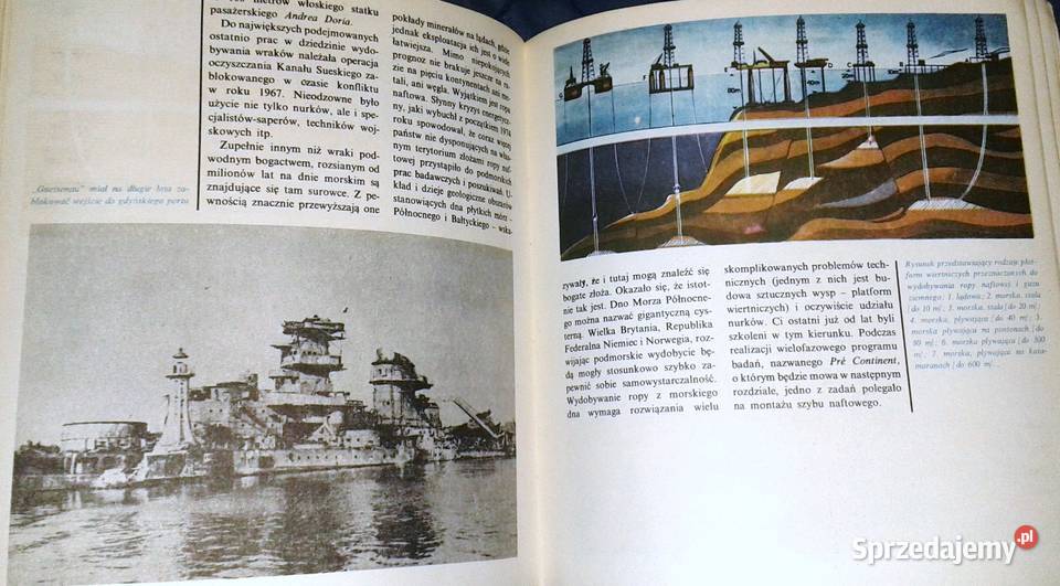 Tajemnice podmorskiego świata Piotr Oborski