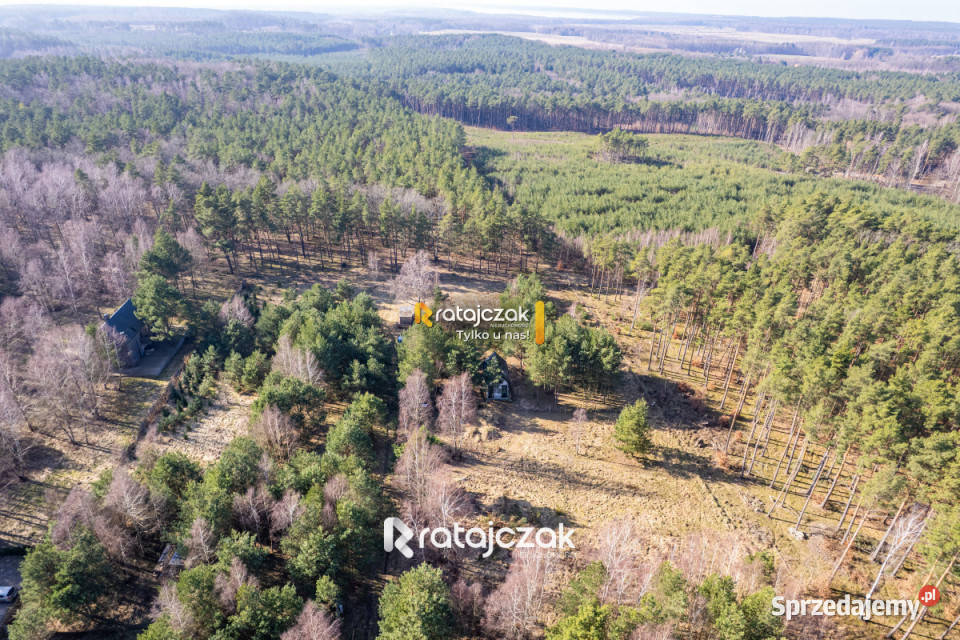 Grunt na sprzedaż 9751m2 Sasino Stara Cegielnia prąd
