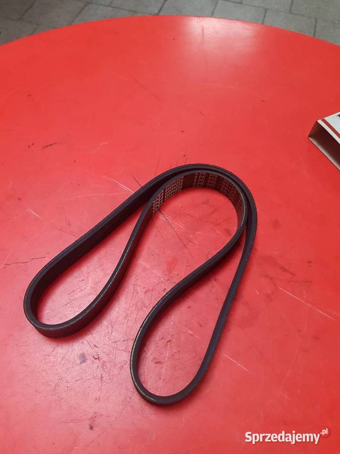 84594329 Pas wielorowkowy CNH Holland Sulechów