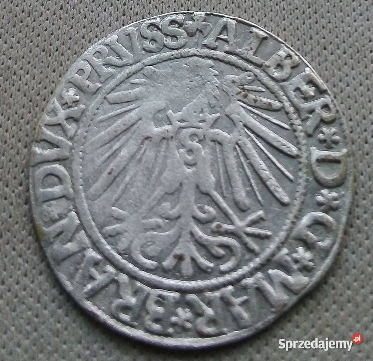 PRUSYGROSZ PRUSKI 1543 r SREBRO ALBERT Legionowo