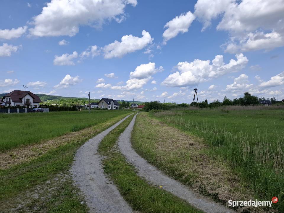 Działka budowlana 975 ar z WZ Osobnica 4153 Nieruchomości podkarpackie sprzedam
