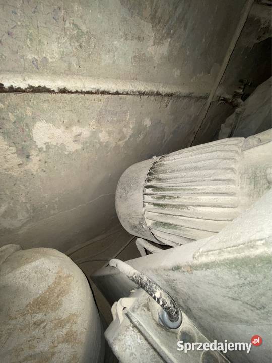 Śrutownik Bijakowy niemiecki