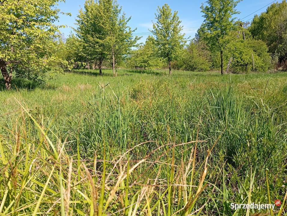 Działka budowlana Maldyty 1030 m kwadraowych Małdyty