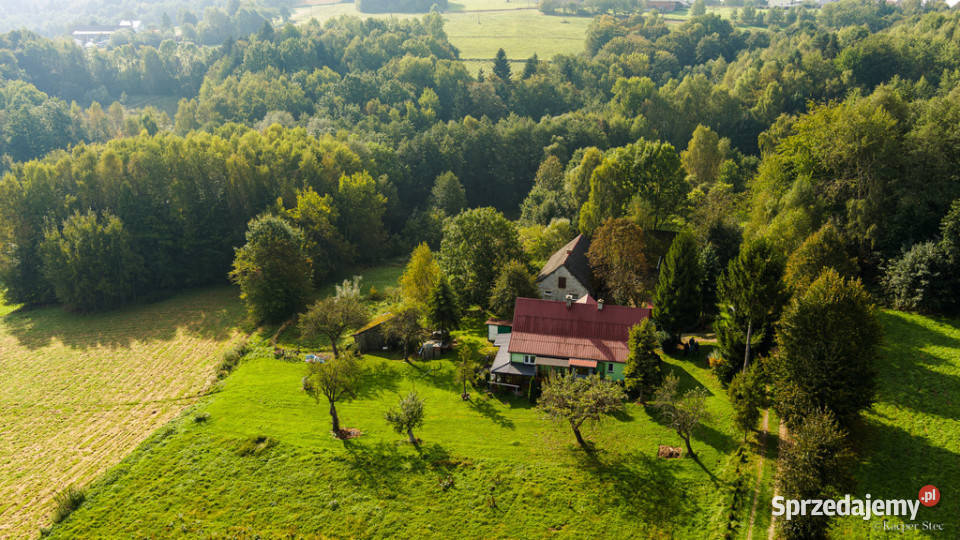Na sprzedaż działka z domem w Lichwinie Lichwin