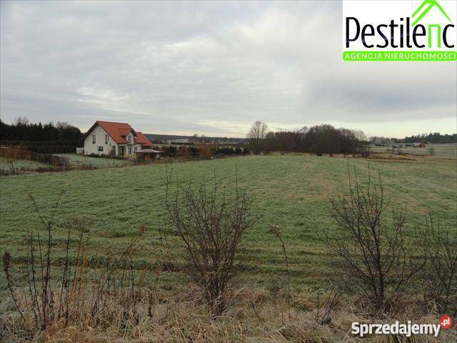 działka budowlana do sprzedaży 1171m2 Krokowa pomorskie