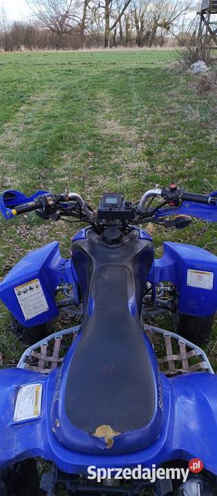 Shineray stxe 250 lubelskie Chłaniówek