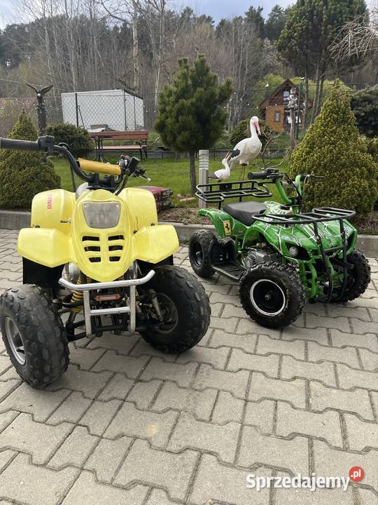 Mini Quady 50 80cc Sucha Beskidzka