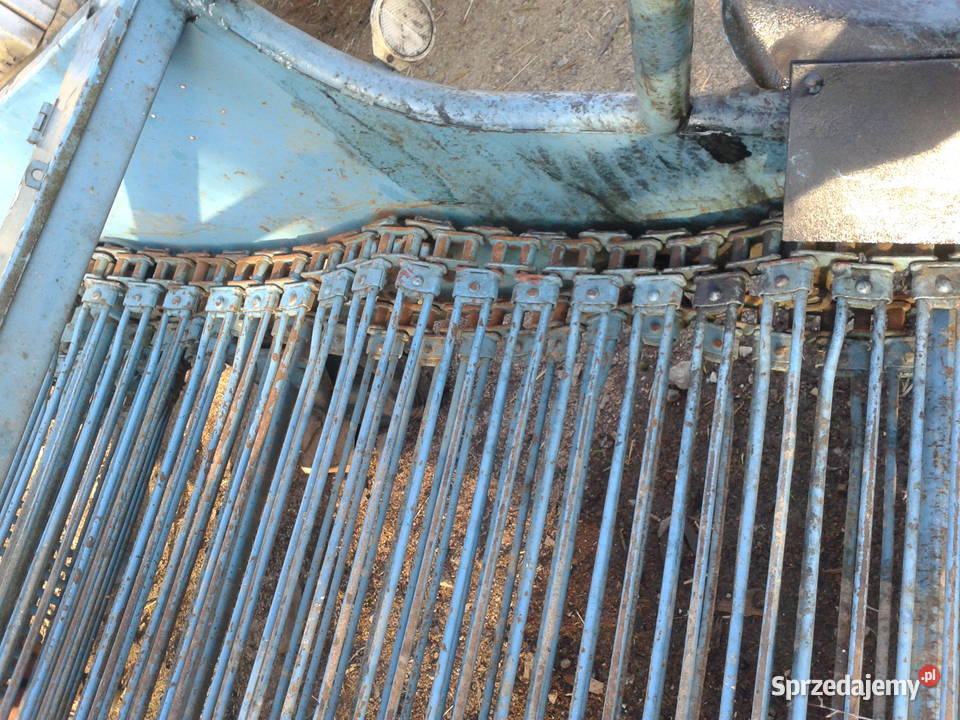 kopaczka do ziemniaków elewatorowa Nowa Słupia