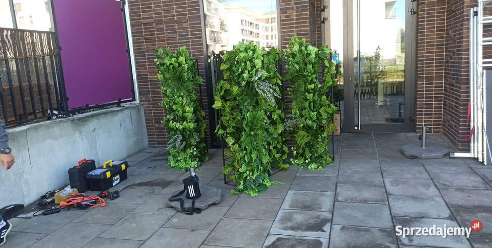 Ogród wertykalny sztuczna zielona ściana z Katowice sprzedam