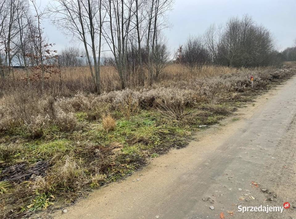 Działka z warunkami zabudowy 1000m Skrybicze sprzedam