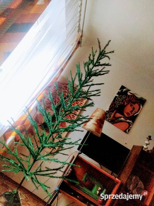 Choinka PRL drapak Częstochowa