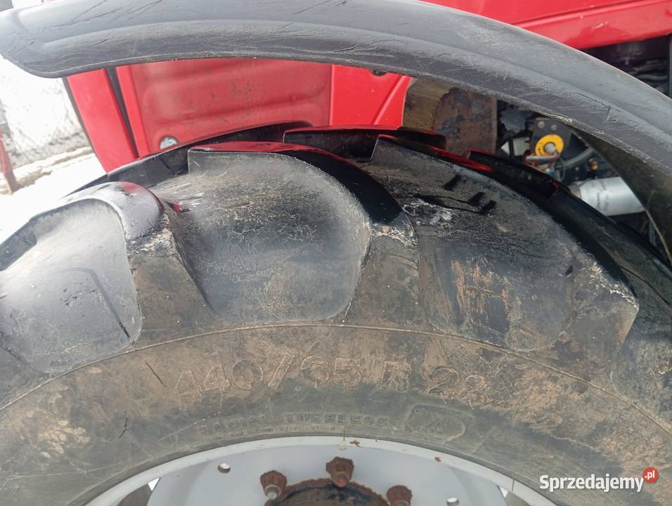 MASSEY FERGUSON 5460 115 Dyna 4 Ferguson Racławice