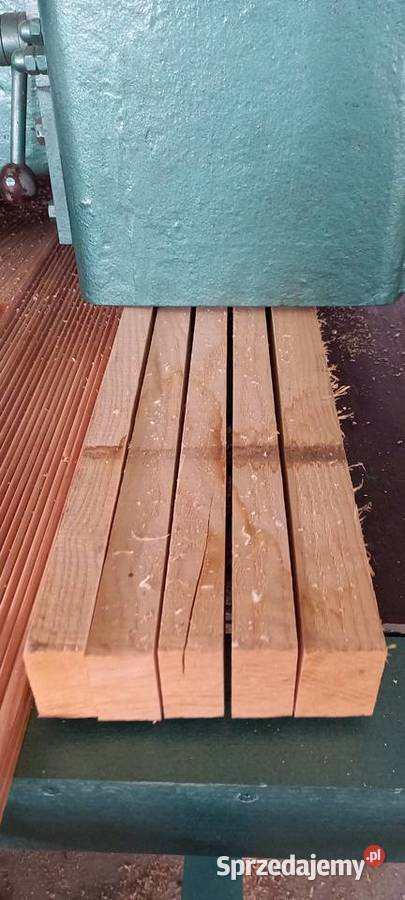 wielopiła Torwegge gąsienicowa Błotnica Strzelecka