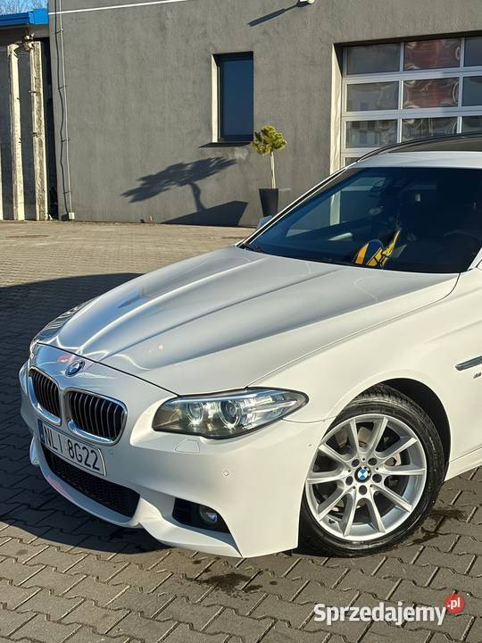 BMW 520d seria 5 Świetny stan Samochody osobowe warmińsko-mazurskie Lidzbark Warmiński sprzedam