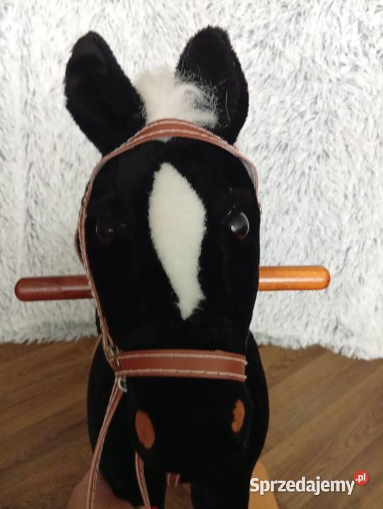 Konik na biegunach Bronisławka sprzedam