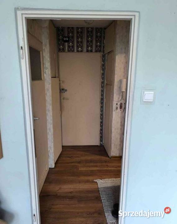 1pok 28met Modlińskiej BALKONPIWNICAWINDA dolnośląskie Wrocław