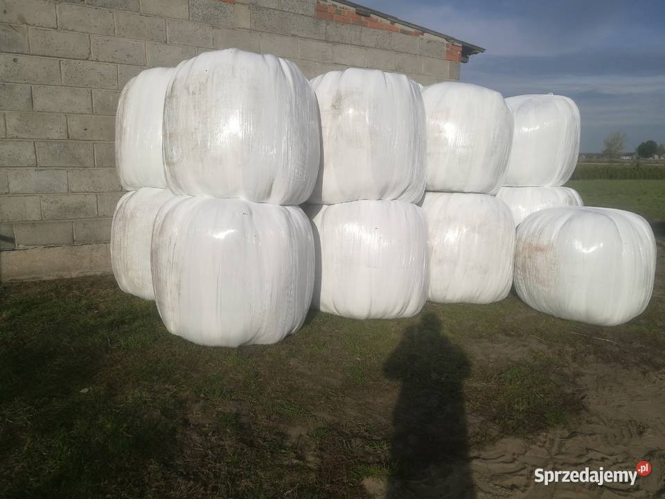 Siano i Sianokiszonka 120x120 Możliwość Konin sprzedam