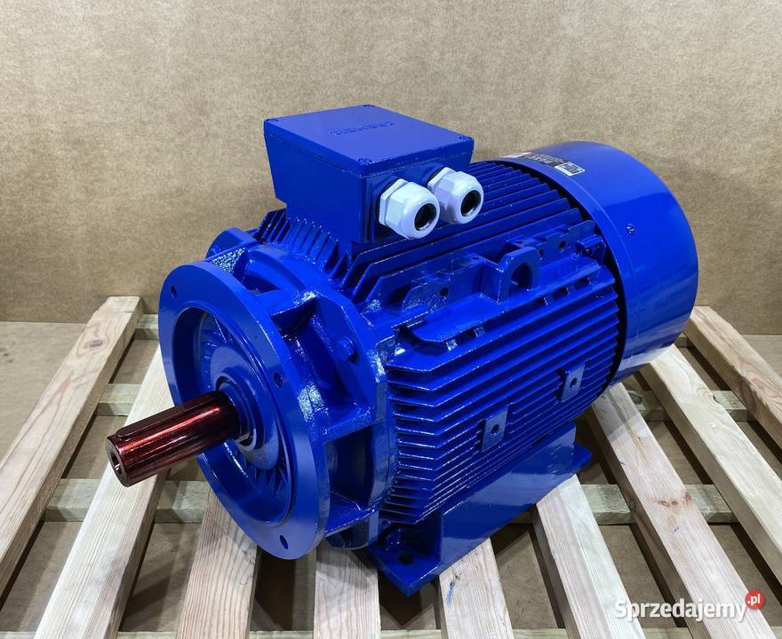 silnik elektryczny 22kW 1460obr 3fazowy SIEMENS sprzedam