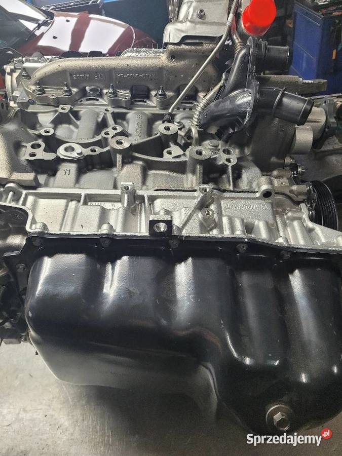 Rozrząd Ford 2011524 2301157 2011555 GK2Q8A615AA Radom