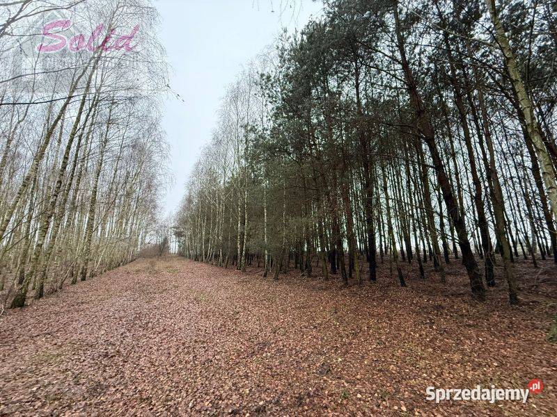 działka z warunkami zabudowy w spokojnej 30zł/m2 kujawsko-pomorskie Stawek sprzedam