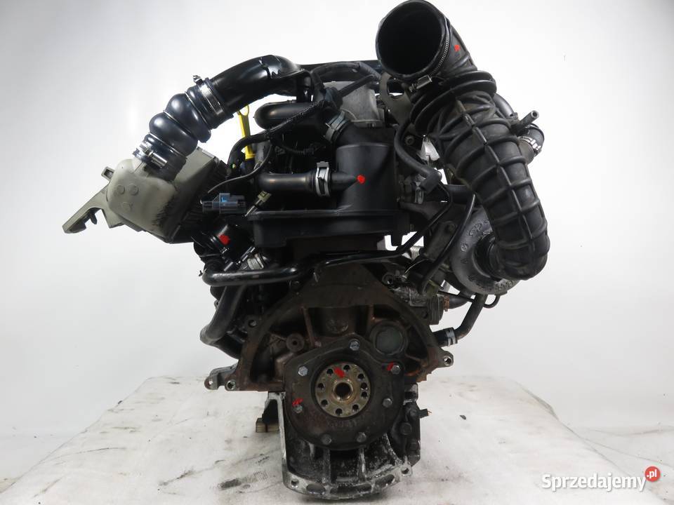 SILNIK FORD FOCUS MK1 18 TDCi F9DA 115 KOMPLETNY Silniki kompletne sprzedam