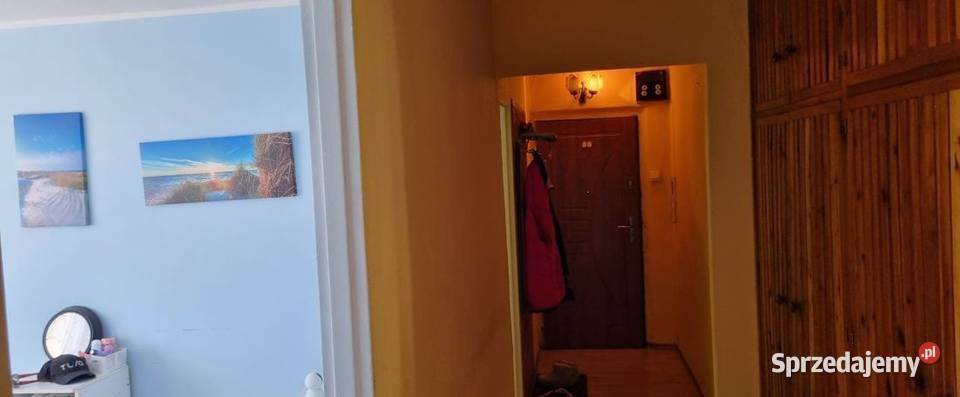 3pok 62met Sielskiej BALKONPIWNICAWINDA Wrocław Liczba pokoi 3 sprzedam