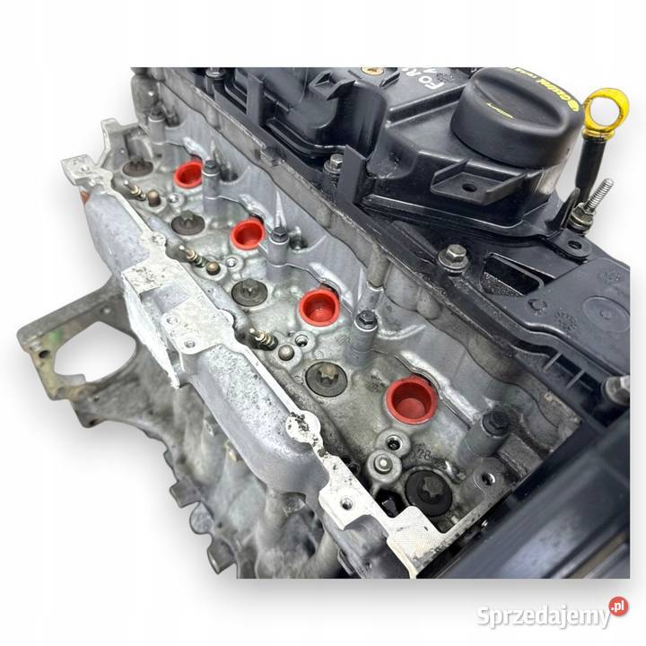 SILNIK T1DB Ford Focus III C C 16 TDCI 115 Chełm sprzedam