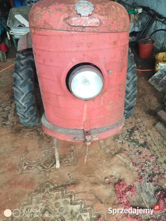 Sprzedam dzik 2 Przemyśl