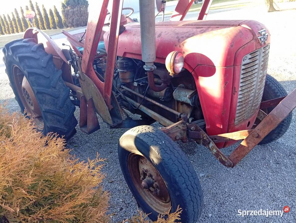 Massey Ferguson FX 35 diesel 4 cylindrowy Skrzynia biegów Manualna Wojsławice