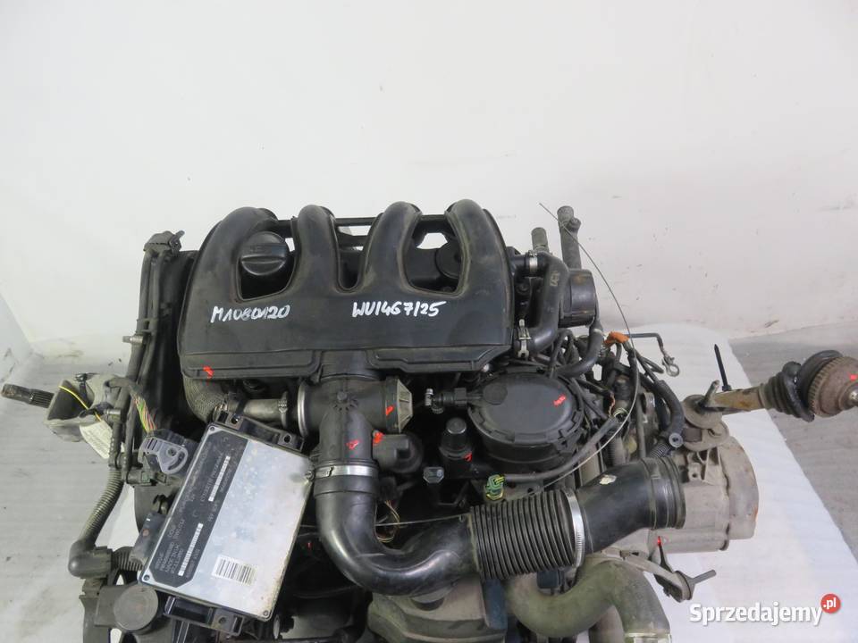 SILNIK SKRZYNIA PEUGEOT 206 19 D WJY KOMPLETNY osobowe