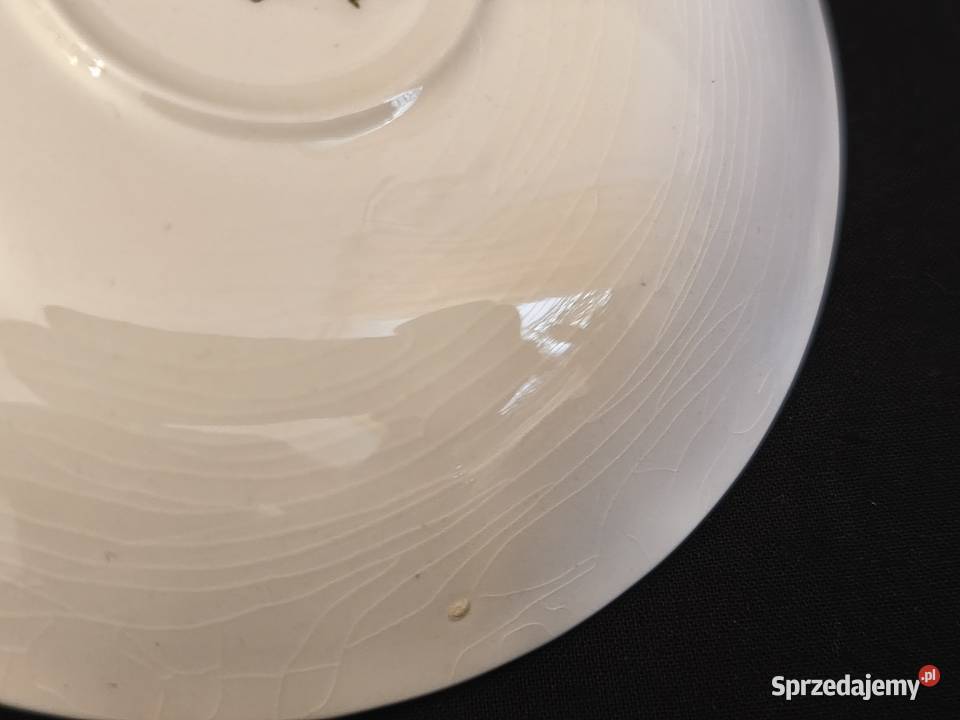 Talerz angielski Royal Tudor Ware Chełm