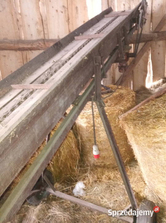 Taśmociąg podajnik do obornika Chotyze
