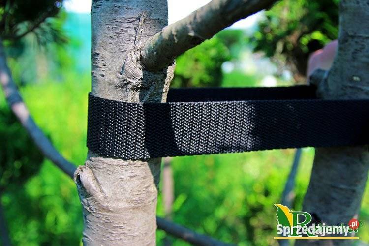 TAŚMA tkana OGRODNICZA do podwiązywania drzewek Pozostałe Cieśle