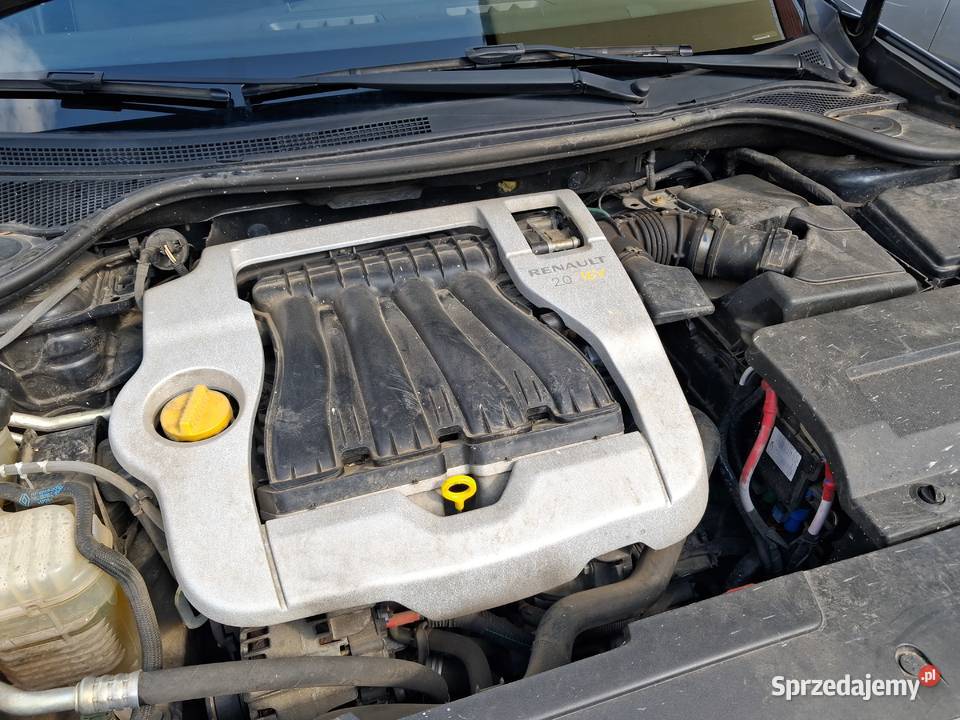 Renault laguna Puławy