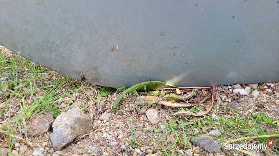 Drzwi Renault Scenic I lift Łagów