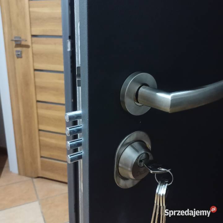 Drzwi Akustyczne 90 Prawe Kolor Antracyt Drzwi zewnętrzne śląskie Zabrze