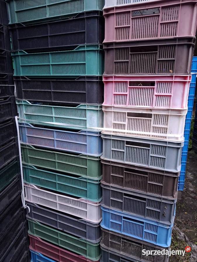 Skrzynki plastikowe 12 Kraśnik