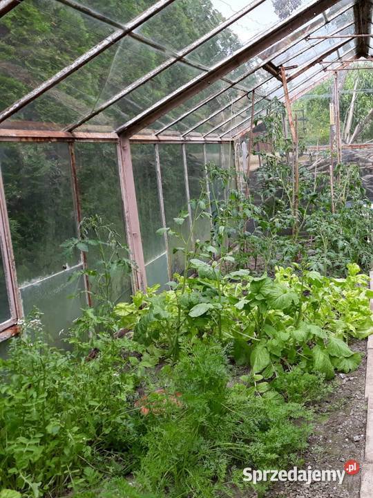 Ogródek działkowy ROD Leliwa małopolskie Tarnów