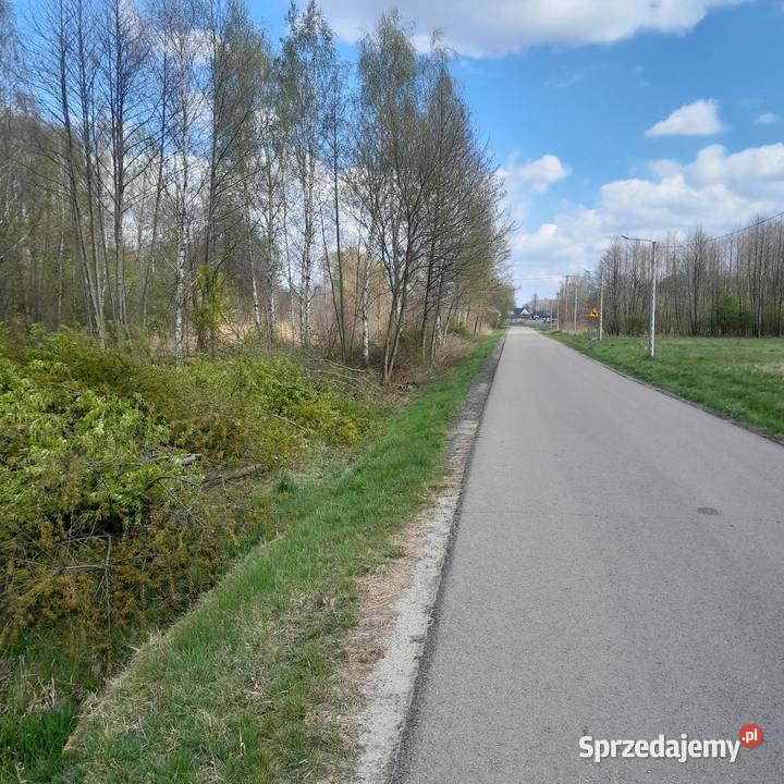 Międzyborów Bieganów Poziomkowa Arbuzowa
