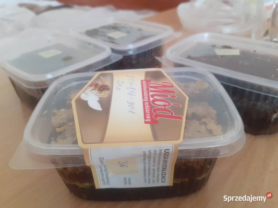 Plaster miodu Miód w plastrach Miód żywyj Ramka Warszawa