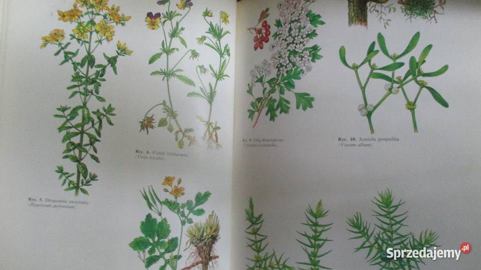 Domowy poradnik medyczny Medycyna naturalna