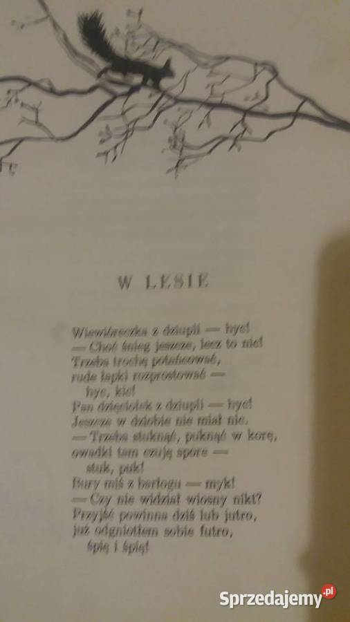 O czym cyka świerszcz z kącika bajki dziecięce Warszawa sprzedam