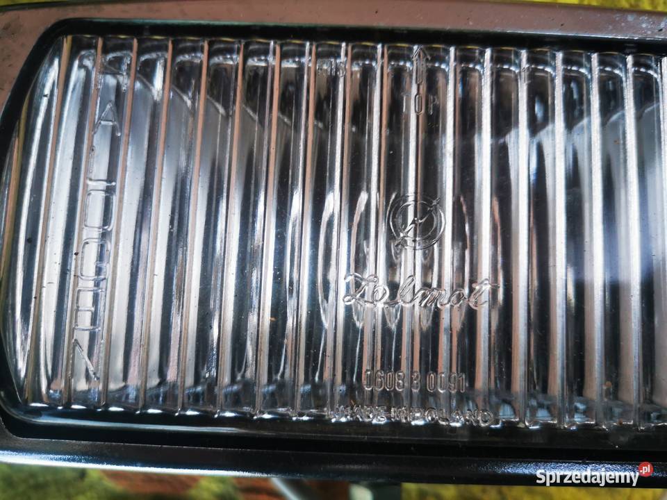 halogen Zelmot wielkopolskie Leszno