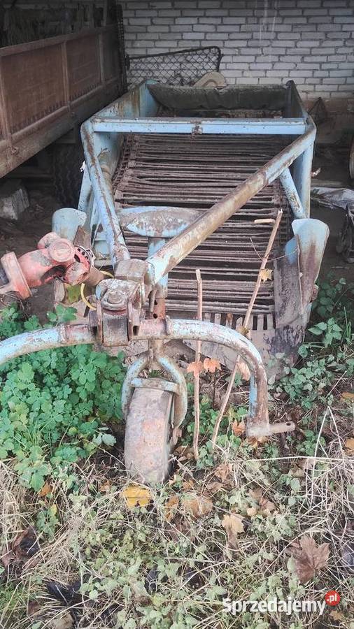 Kopaczka do ziemniaków kujawsko-pomorskie Sierzchowo