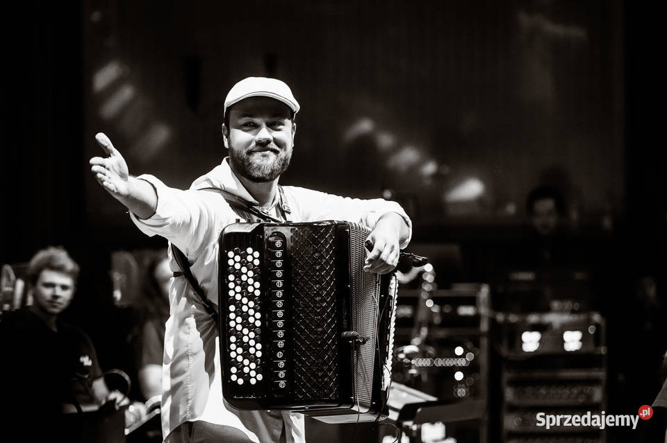 Profesjonalny akordeonista solozespół koncerty i